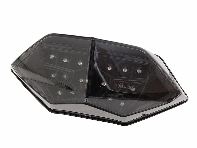 2013-2017 Kawasaki Ninja 300 Integrated Tail Light