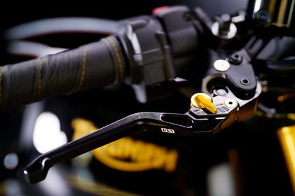 2019-2020 Triumph Speed Twin Levers
